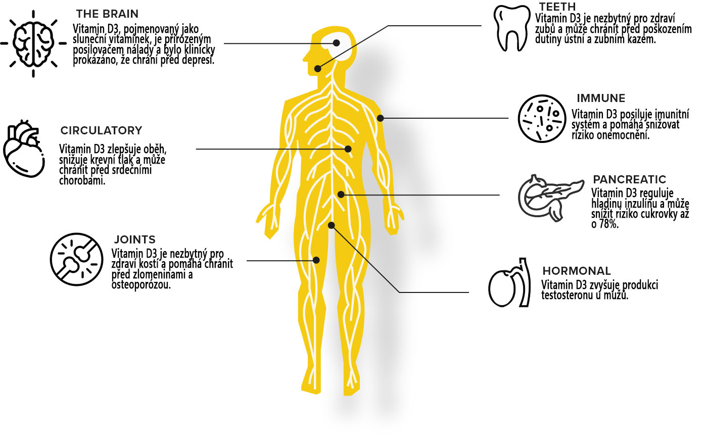 D3 benefity diagram